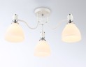 Накладной светильник Ambrella Light TR303302
