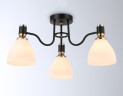 Накладной светильник Ambrella Light TR303303