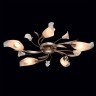 Накладная люстра MW-Light 242016205