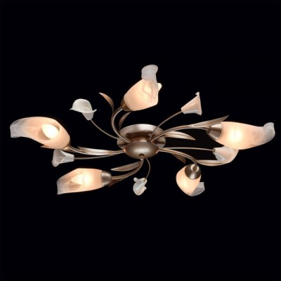 Накладная люстра MW-Light 242016205
