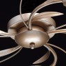 Накладная люстра MW-Light 242016205