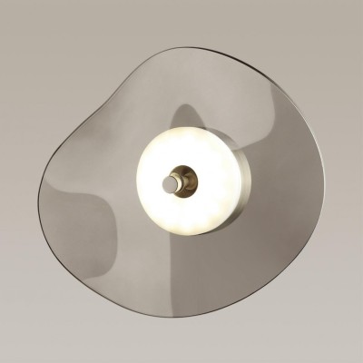 Настенный светильник Odeon Light 4858/5WL (Уцененный товар)