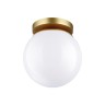 Накладной светильник Odeon Light 4247/1C