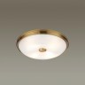 Накладной светильник Odeon Light 4956/4