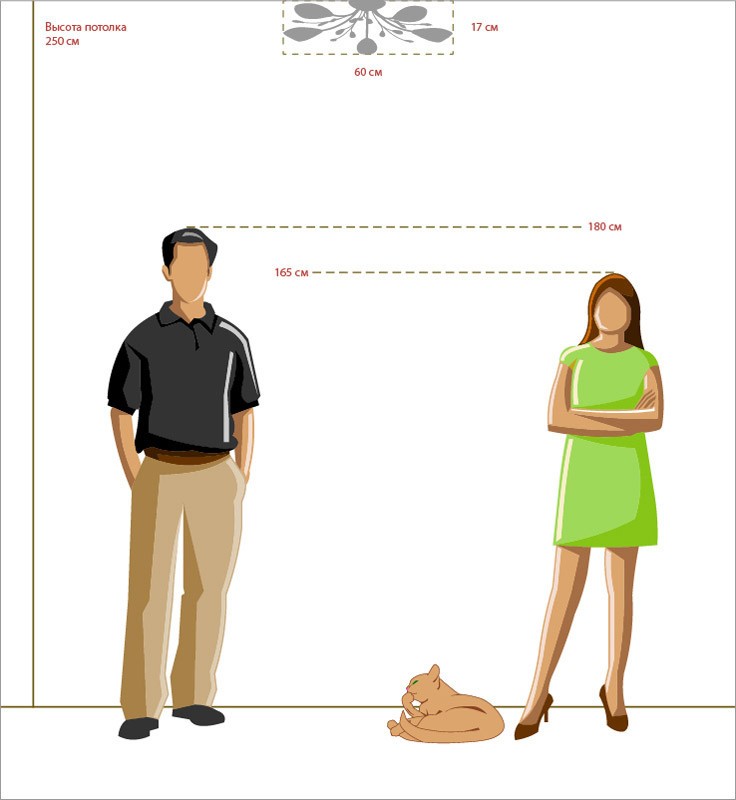 Накладная люстра MW-Light 356015105