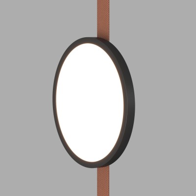 Светильник на шине Denkirs DK5566-BK