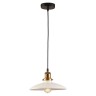 Подвесной светильник Lussole Loft Glen Cove GRLSP-9605
