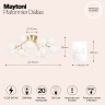 Потолочный светильник Maytoni MOD545CL-20BS