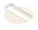 Накладной светильник Ambrella Light FA613