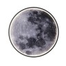 Светильники Потолочные Escada 10226/SG LED*43W Moon