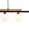 INDIGO Подвесной светильник MITEZZA 10013/4P Black