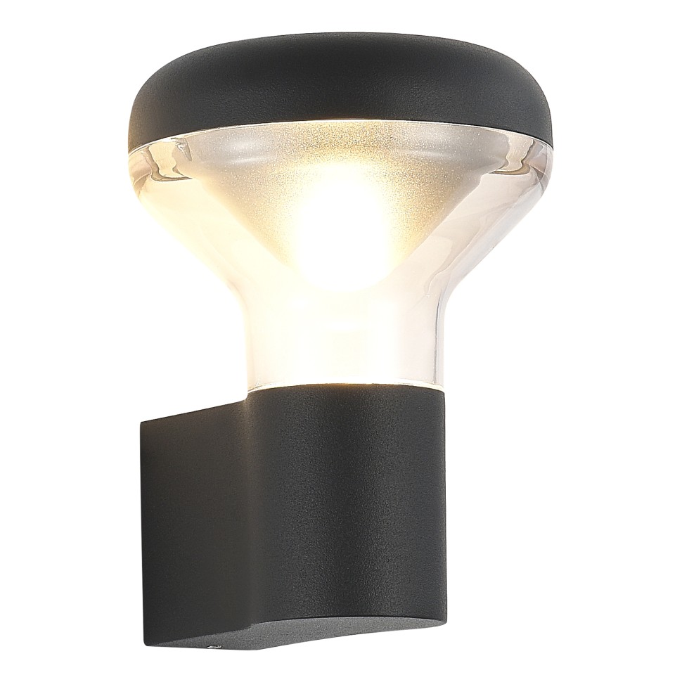 SL9541.701.01 Светильник настенный ST-Luce темно-серый/прозрачный LED 1*6W 3000K