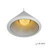 Подвесной светильник iLedex Moon WL8858-5 Белый