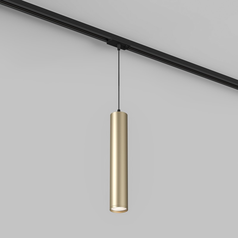 Светильник на шине Denkirs DK6210-BG