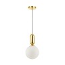 Подвесной светильник Odeon Light 4669/1