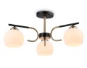 Накладной светильник Ambrella Light TR303311