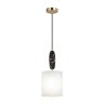 Подвесной светильник Odeon Light 5424/1