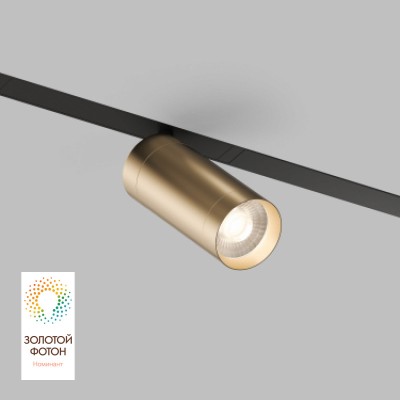 Светильник на шине Denkirs DK8020-BG