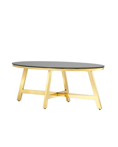 Журнальный стол 100*50 АЛЬБА, стекло черное, сталь золото