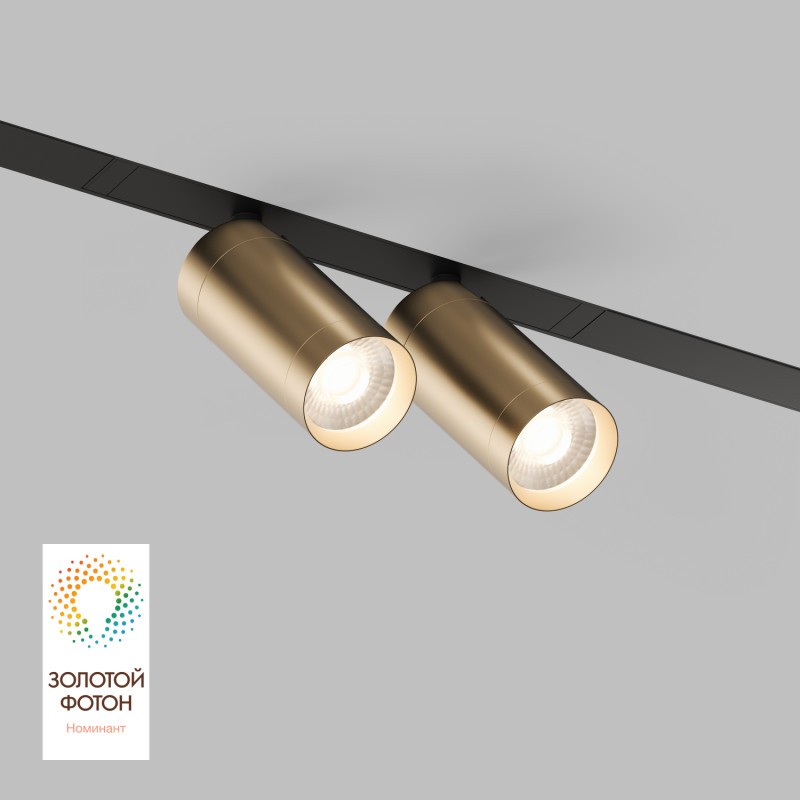 Светильник на шине Denkirs DK8012-BG