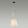 Подвесной светильник Odeon Light 5410/1