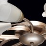 Накладная люстра MW-Light 242016306