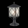 SL084.405.01 Светильник уличный наземный ST-Luce Черный/Черный, Прозрачный E27 1*60W