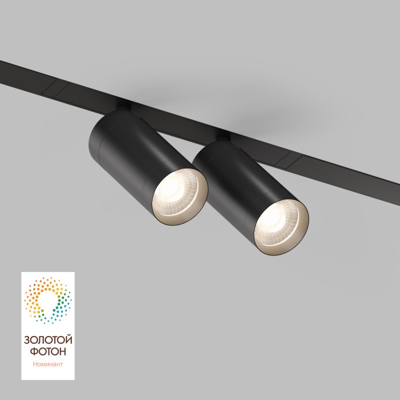 Светильник на шине Denkirs DK8012-BK