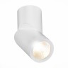 ST650.532.10 Светильник потолочный Белый LED 1*10W 3000K 800Lm Ra>90 38° IP44 D62xH151 165-265V