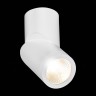ST650.532.10 Светильник потолочный Белый LED 1*10W 3000K 800Lm Ra>90 38° IP44 D62xH151 165-265V