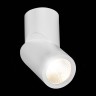 ST650.542.10 Светильник потолочный Белый LED 1*10W 4000K 800Lm Ra>90 38° IP44 D62xH151 165-265V