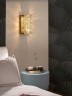 Настенный светильник Delight Collection 6005W/S gold/clear