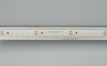 Лента Arlight 021462(2)