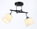 Накладной светильник Ambrella Light TR303063