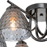 Люстры Потолочные Escada 659/6PL E27*60W Black