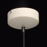 Подвесной светильник MW-Light 636011701