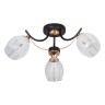 Люстры Потолочные Escada 1104/3P E27*60W Black