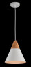 Подвесной светильник Maytoni P359-PL-01-W