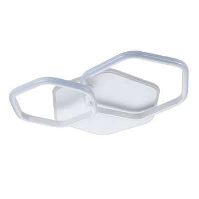 Светильники Потолочные Escada 10217/2 LED*140W White
