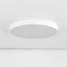 Накладной светильник Citilux CL72495G0
