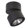 Накладной светильник Lightstar 214857