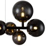 INDIGO Подвесной светильник MOLECOLA 11018/10P Black