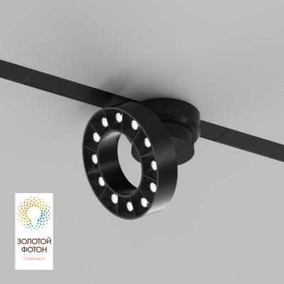 Светильник на шине Denkirs DK8030-BK