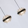 Подвесной светильник Delight Collection MD22030002-5B black/clear