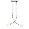 INDIGO Подвесной светильник FIORE 13001/2P Black