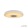 Потолочный светильник iLedex Jupiter 24W RGB Opaque Entire (Уцененный товар)