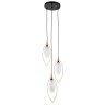 INDIGO Подвесной светильник FIORE 13001/3P Black