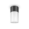 Потолочный светильник Outdoor O418CL-01B