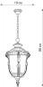 Подвесной уличный светильник Feron 11497
