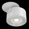 Потолочный светильник Maytoni C063CL-L12W3K